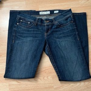 Plus Size BKE Denim Jeans